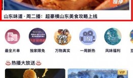 山东食品爆料网红视频,揭秘食品安全背后的真相